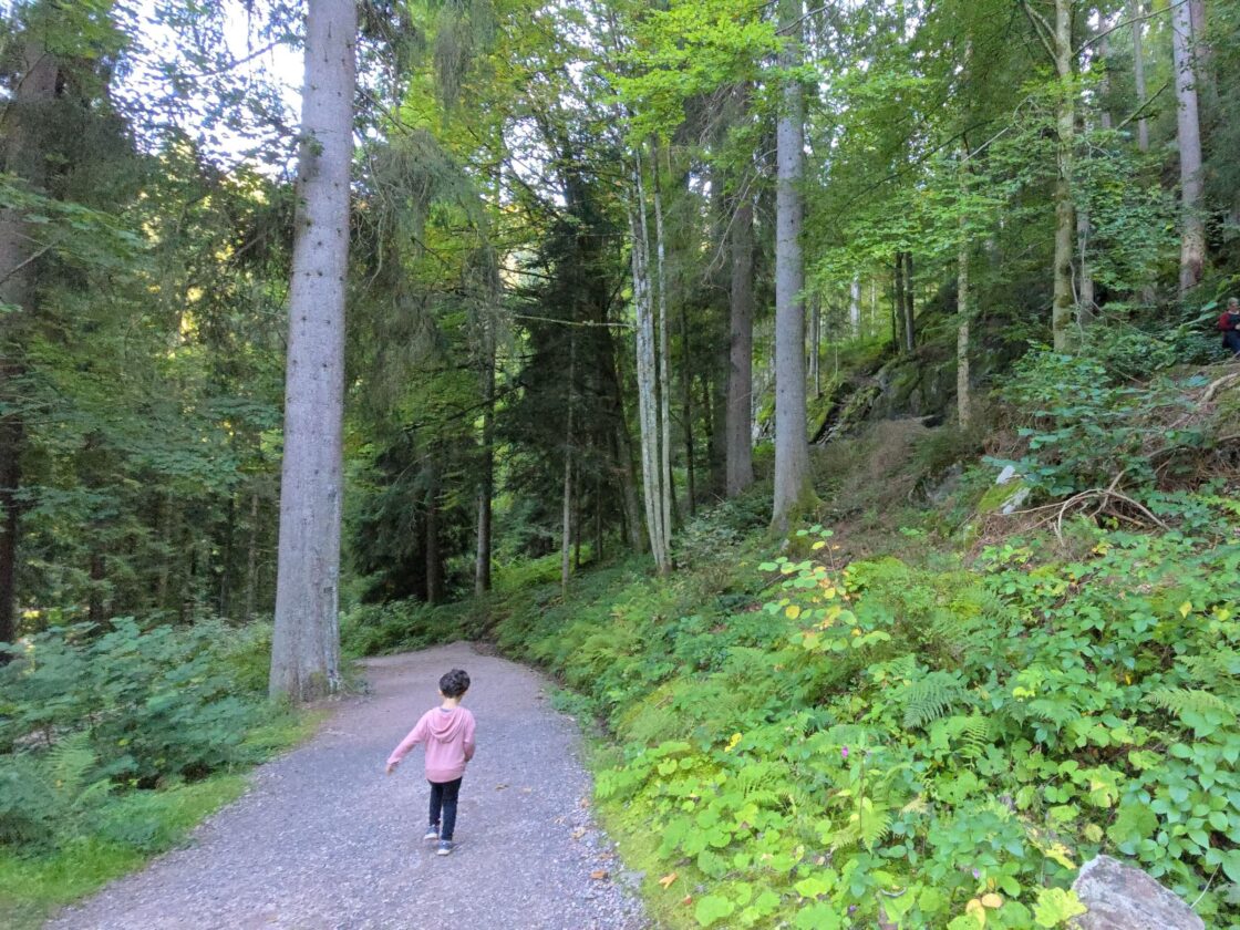 Germany Through the Eyes of a 4-Year-Old